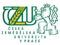 ČZU Praha: Korektura diplomových prací